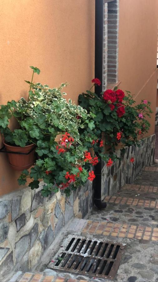 La Casetta Di Elena ลาเมเซ แตร์เม ภายนอก รูปภาพ